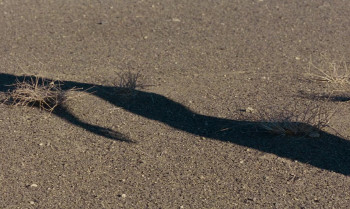 Beau Travail (1999) download