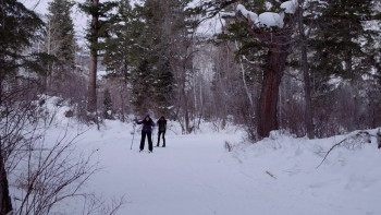 Beautiful Beast (2012) download