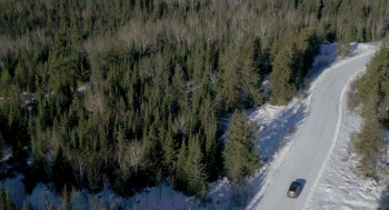 Bed Rest (2022) download