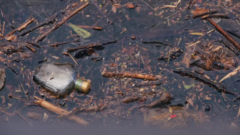 Behind the Rage: America's Domestic Violence (2022) download