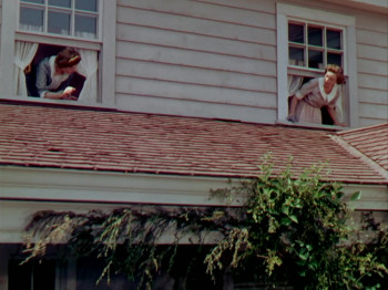 Belles on Their Toes (1952) download