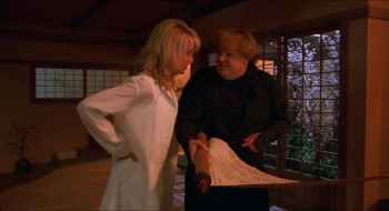 Beverly Hills Ninja (1997) download