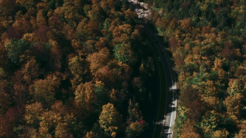 Beware of Paul Pry (2023) download