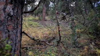 Beware the Lake (2017) download