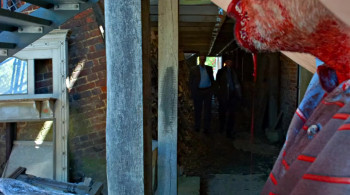 Beyond Fury (2019) download