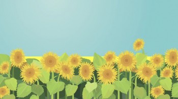 Bible Town (2017) download