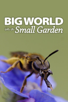 Big World in a Small Garden (2016) download