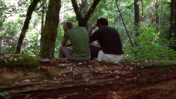 Bigfoot County (2012) download