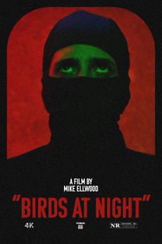 Birds at Night (2023) download