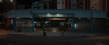 Birds Flying East (2024) download