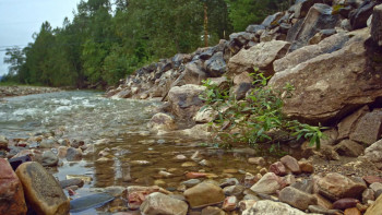 Birth of a Family (2017) download