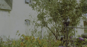 Black Cat, White Cat (1998) download