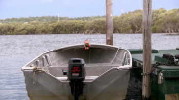 Black Water (2007) download