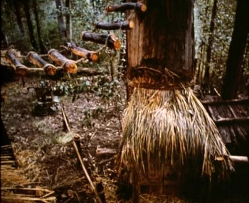 Blinky Bill: The Mischievous Koala (1992) download