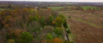 Bluegrass Spirits (2023) download