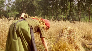 Boerenpsalm (1989) download