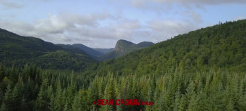 Bogieville (2024) download