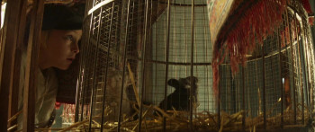 Bonhoeffer: Pastor. Spy. Assassin. (2024) download