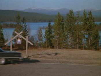 Born American (1986) download