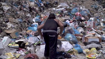 Born in Gaza (2014) download