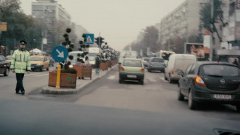 Born to Raise Hell (2010) download