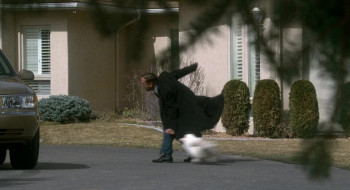 Breakfast of Champions (1999) download