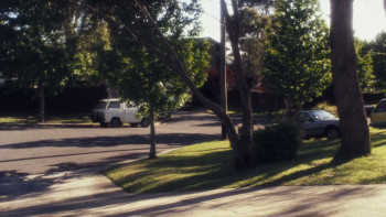 Breaking Loose: Summer City II (1988) download