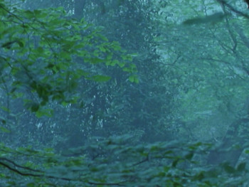 Bright Hair (1997) download