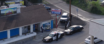 Bring the Law (2026) download