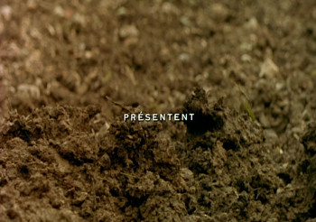 Sequins (2004) download