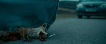 Broken Bird (2024) download