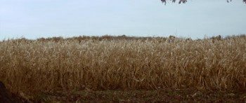 Broken Bonds (2026) download