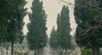 Brother in Love (2019) download