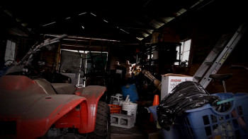 Bubba the Redneck Werewolf (2014) download