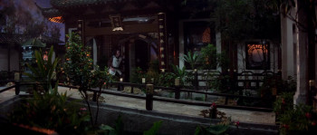 Buddha's Palm (1982) download