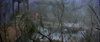 Buddha's Palm (1982) download