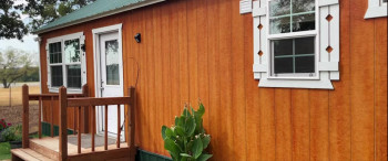 Bull Shark 2 (2024) download