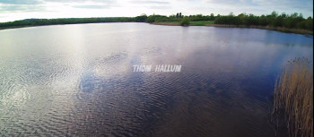 Bull Shark 3 (2024) download