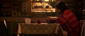 Bunny and the Bull (2009) download