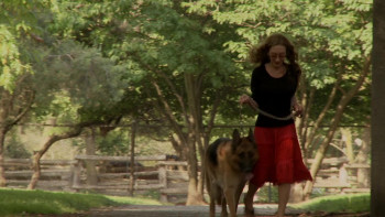 Buying Sex (2013) download