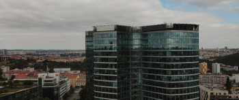 Canary Black (2024) download