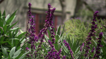 Can't Stand Losing You: Surviving the Police (2012) download