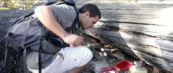 Capps Crossing (2017) download