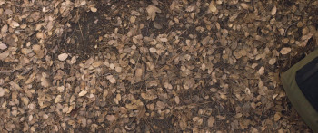 Captive (2020) download