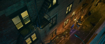 Cat and Dog (2024) download