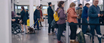 Cat and Dog (2024) download