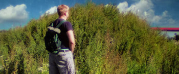 Chainsaws Were Singing (2024) download