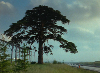 Chambre 666 (1982) download