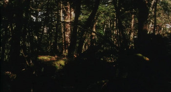 Charisma (1999) download