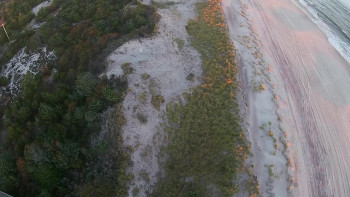 Cherry Grove Stories (2018) download